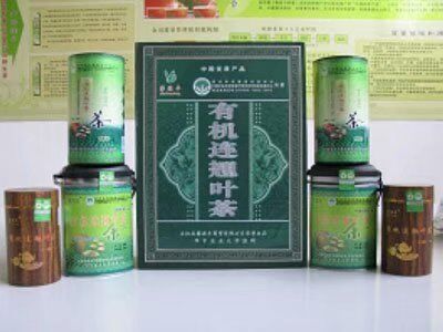 连翘苗木种子