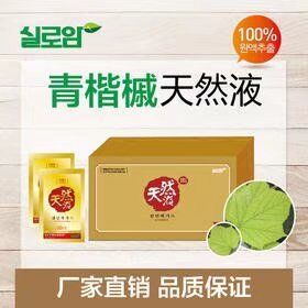 青楷槭苗木